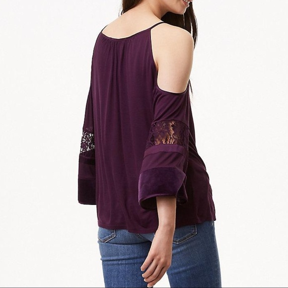 LOFT Velvet Lace Cold Shoulder Top - Picture 2 of 2